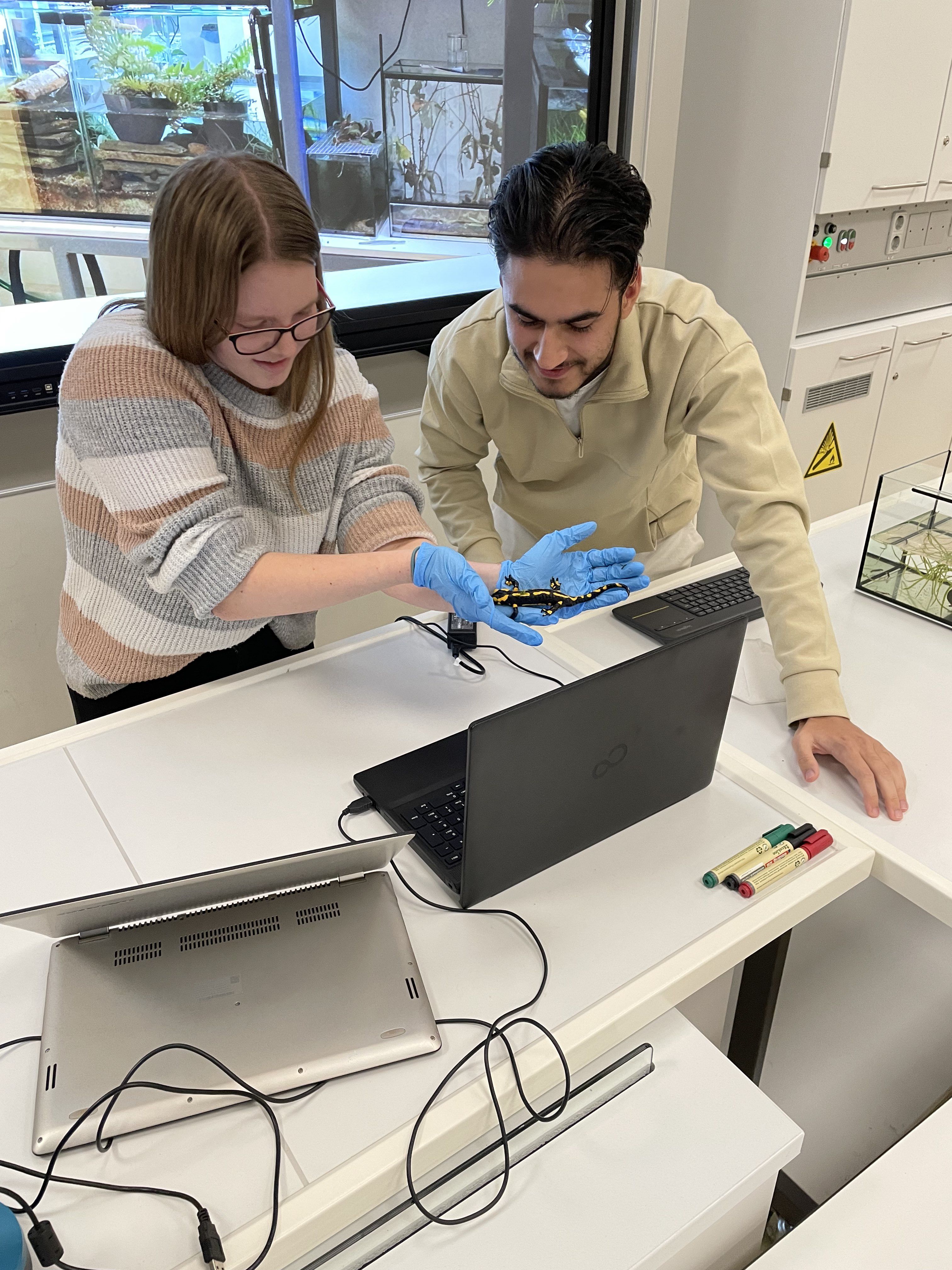 Zweiter Platz beim P&G Mint-Award für „Arche Feuersalamander“